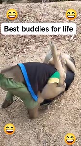 2.4K views · 21 reactions | Wat type of play is this 浪浪浪 #reelschallenge #dancers #singapore #couple #challenge #monkey #Pakistan #millionairemindset #singa #millionviews | Rosse Rosse | Facebook