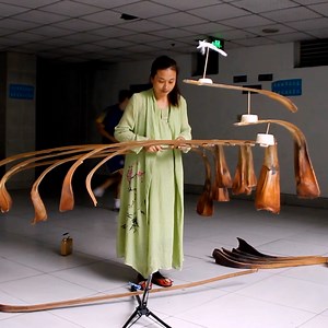 Woman performs the amazing Sanddorn balance! 🤯 | MetDaan Fitness