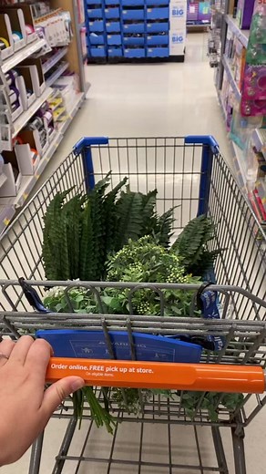 Havalah Ludwigsen on TikTok