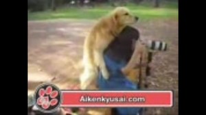 女性とセックスと犬