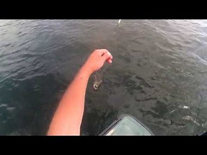 Fishing Walton Lake NY