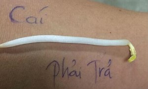 Giới trẻ sốt với trào lưu 'đuổi hình bắt chữ'