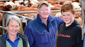 Towns to suffer as cattle prices fall