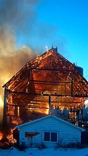 The moment a large barn collapsed as firefighters worked to control the fire on Christmas Day.🔥 Check our stories for more details. #Ottawa *** Le moment où une grande grange s’est effondrée alors que les pompiers s’efforçaient de maîtriser l’incendie le jour de Noël.🔥 Consultez nos articles pour plus de détails. | Ottawa Fire Services - Service des incendies d'Ottawa