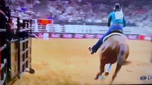 56K views · 2.7K reactions | Stevi and Sandi do it again! Sandi tries so hard every run we are big fans of this team  | BHR Frenchies Socks | Facebook