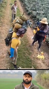 Ananas #reelsfypシ #reelsfb #reelschallenge #viralshorts | Akram business