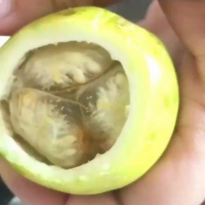 . A membrane sweep is a procedure that is commonly done towards the...