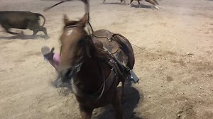 1.2K views · 63 reactions | One of my fav events at our local Rodeo. Wild Cow Milking! | West Taylor-Wild West Mustang Ranch | Facebook