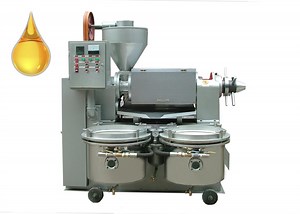 [Hot Item] Olive Oil Sesame Oil Expeller Hot and Cold Oil Press Machine