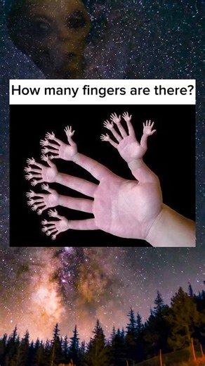 How many fingers are there? #viralshorts #funnyshorts #subscribe #memes