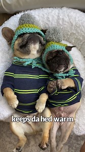 280K views · 9.4K reactions | Matching outfits with my baby brother! | Gus Gus In The City | Facebook