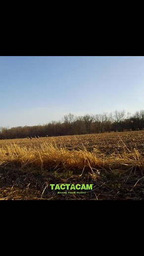 2.7K views · 63 reactions | Epic hunt from the Turkey Reaper vault. 旅 #ShareYourHunt | Tactacam | Facebook