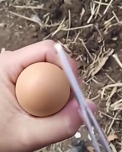 Satisfying Hub on Reels