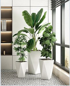 [Hot Item] White Color Painting Plastic Flower Pot for Garden