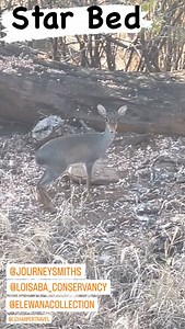 Steve Backshall on Reels
