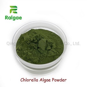 [Hot Item] Chlorella Algae Powder Feed Grade Horses Feed Additive Chlorella