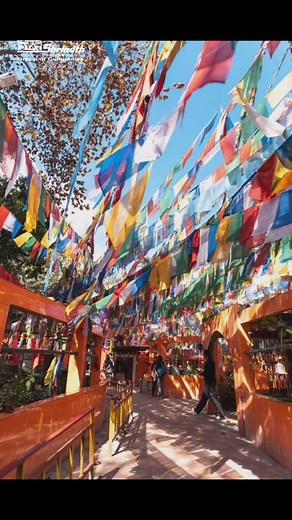 Sikkim INR-30,900 per person Duration: 7D/6N Destination- Gangtok , Pelling & Darjeeling Includes- Accommodation:- 3 star Meal Plan- MAPAI {Breakfast & Dinner} Car- INNOVA/XYLO/SIMILAR . . . . . Call/Dm us for more details #ShrinathTravels #shrinathtravelagency #shrinathbuses #shrinathvolvo #shrinathvolvobuses #shrinathgroupofcompanies #busticketbooking #premiumclass #tickets #travelindiagram #indiatravel #acsleeper #sleepercoaches #semisleeper #indiasluxurybuses #deluxebuses #busesofinstagram #