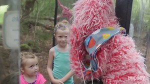 Stella and ROOTLE Visit Daniel Stowe Botanical Garden!