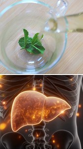 4.1K views · 35 reactions | Mint for Fatty liver Treatment #reel #reels #health #fattyliver #liverdamage : Mint swiftly relaxes the bile ducts, promoting a vital and strong flow of bile. Bile efficiently emulsifies fats in the gut. By optimizing fat digestion, Mint ensures less circulating fat returns to the liver for harmful storage, supporting long-term fat reversal. | Health Friendly Tips | Facebook