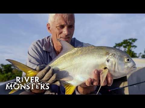 Remarkable Fish That Can Survive In Both Salt & Fresh Water | River Monsters