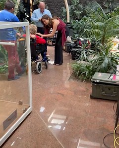 Giselle Blondet on Reels