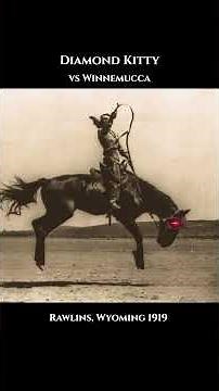 Diamond Kitty #shortstory #cowgirlshit #cowgirlfashion #JustCowboyShit #RodeoLegends #athlete