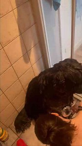 Why this detangler spray changed everything