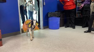 Minnie’s winning choice was joining the Remington Park team!🤩 You can have your chance to meet Minnie in person at our next Job Fair on Saturday, July 22 from 11am - 2pm! You can apply for your winning opportunity online or in person! Welcome to the team Minnie❤️ To browse open positions, click the link below! 🔗 http://bit.ly/3K8o5in | Remington Park