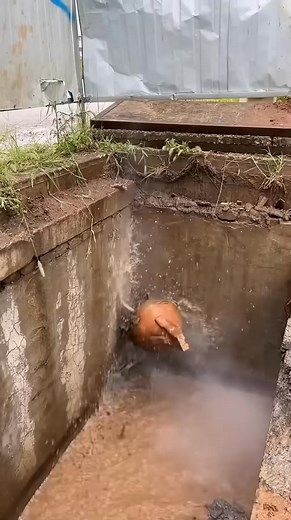 Horizontal directional drilling, can pipelines be laid without excavation？ . . . . . #funny #studio #fandub #film #producer #audio #madlipz #voiceactors #n #tv #narrator #locucion #voices #anime #voiceoverwork #actress #memes #video #elearning #locutora #tiktok #doblaje #instagram #o #instagood #commercial #model #viral #singersongwriter | Thomasmulligan