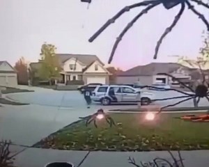 14K views · 150 reactions | 217 STOLEN CANDY: Some clown stole a whole bucket of candy 郎 | 217 Problems | Facebook