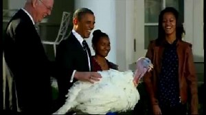 Obama grants turkeys traditional pardon