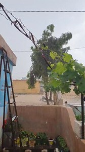 تجدد العاصفة المطرية ⛈️🌧 على مخيمات الشمال السوري | شاهد بلس - Shahid Plus