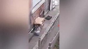 Rat filmed scurrying around raw chicken left behind takeaway