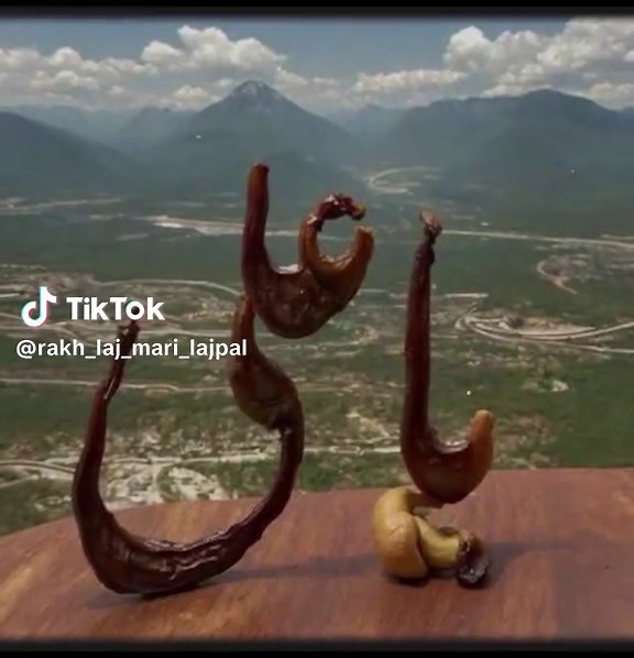 رکھ لاج میری لجپال on TikTok