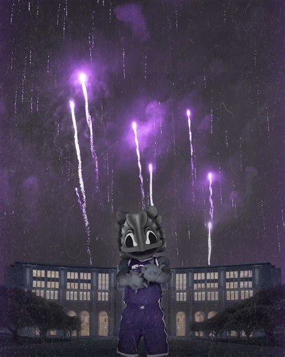 4.2K views · 153 reactions | Happy 4th of July! 﫶 TCU Athletics #GoFrogs | TCU Athletics | Facebook