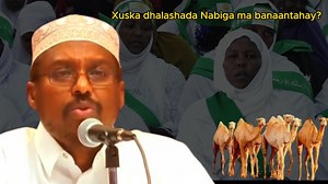 Xuska dhalashada Nabiga ma banaantahay? Sheekh Mustafe | Wadada Jannada