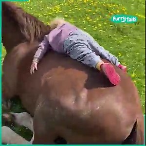 Humans & horses have a special bond 🥰🐴 | Furry Tails