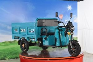 [Hot Item] OEM/ODM E Loader 1.8m Customized Electric Cargo Tricycle 60V 1000W Motor Auto Cargo Rickshaw