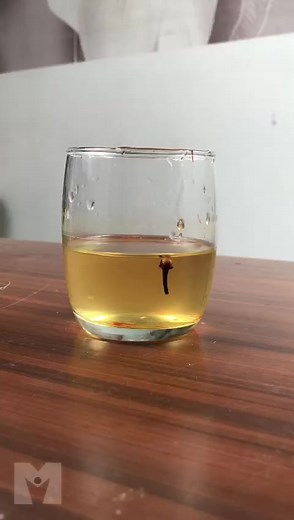 Energy drink for romantic night #energydrink #erectiledysfunction #drburhnamalik #trendingreels #explore #menweakness | Dr Burhan Malik