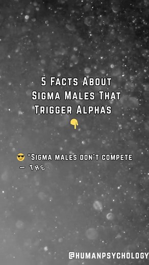 Lone wolves vs pack leaders. These 5 sigma male truths trigger alphas hard. Are you sigma? 👇 #SigmaMale #Alpha #Personality | HumanPsychology