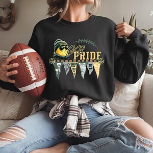 Green Bay Cheesehead Football Sweatshirt, Cheesehead Mascot, Green Bay Pullover, Pennant Flag Spirit Wear, Game Day Apparel - Etsy