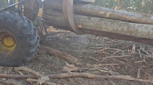 Gotta Love That Hardwood‼️ Follow Us On YouTube T&T Logging Show #gottagetit #tntlogging #letsgo 🟢 www.tntlogginggear.com #748Lll #848Lll | T&T Logging,LLC