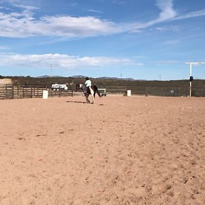 49 reactions · 11 comments | My first ride on Joker since the “bucking incident.” If you haven’t heard we found a huge prickly pear cactus spine on him when we got back. I think we both did amazing today. #scoutstrail #painthorse #courage #brave #tombstonelivery #backinthesaddle #arenawork #ringwork #lightness #lighthands #communication #mylifewithjoker #mybestfriend | Scout's Trail | Facebook