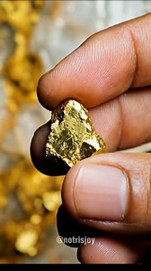Real Gold Vein in Quartz Rock | Natural Gold Nuggets Found #gold #vien #snow | Notris Joy