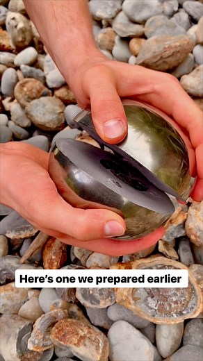 309K views · 3.7K reactions | Here’s one of our Golden Nodules 勞 The...