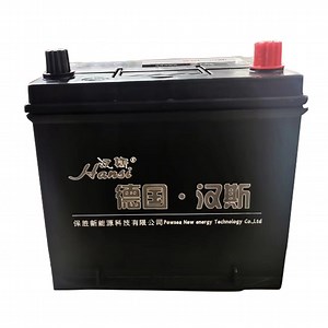 [Hot Item] Car Maintenance-Free Battery N60
