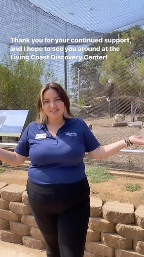 ¡De parte del Living Coast Discovery Center queremos desearles un feliz mes de herencia hispana! Para celebrar, estamos entusiasmados de anunciar que a partir del 7 de octubre, ofreceremos fin de semana bilingües el primer fin de semana de cada mes. Toda nuestra programación educacional incluida en su visita, como las presentaciones de animales, la caminata safari de sweetwater, y el taller de compostaje, serán ofrecidos en inglés y español. También empezaremos a ofrecer caminatas guiadas biling