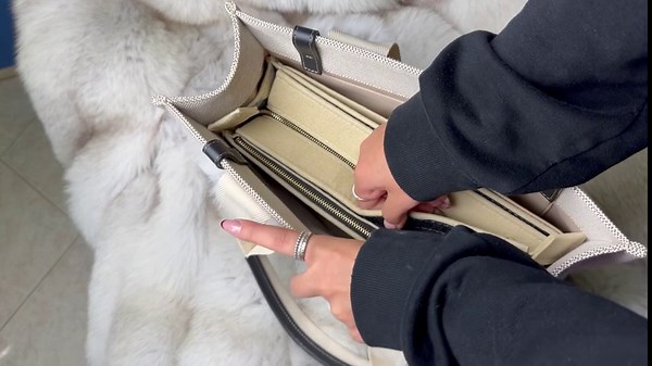 Divitize Premium Purse Organizer compatible with Woody S/M/L Bag Organizer — Perfect Fit, Durable Quality Felt, Full Coverage & No Bulky Effect, 24+ Shades (For Medium Woody, Beige)