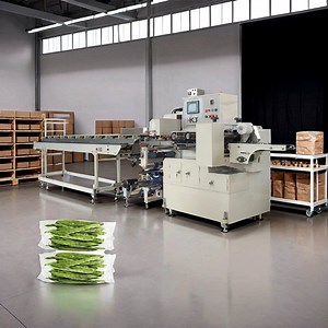 [Hot Item] Mask Horizontal Packaging Machine From The Manufacturer