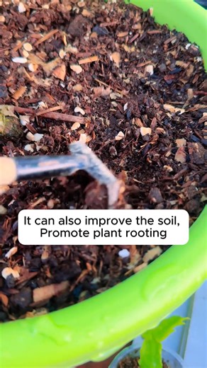 71K views · 316 reactions | Easy to make root stimulant for seedlings #cooltools #satisfying #gardeners #gardeninspiration #gardening #trees | Gardening Paradise | Facebook
